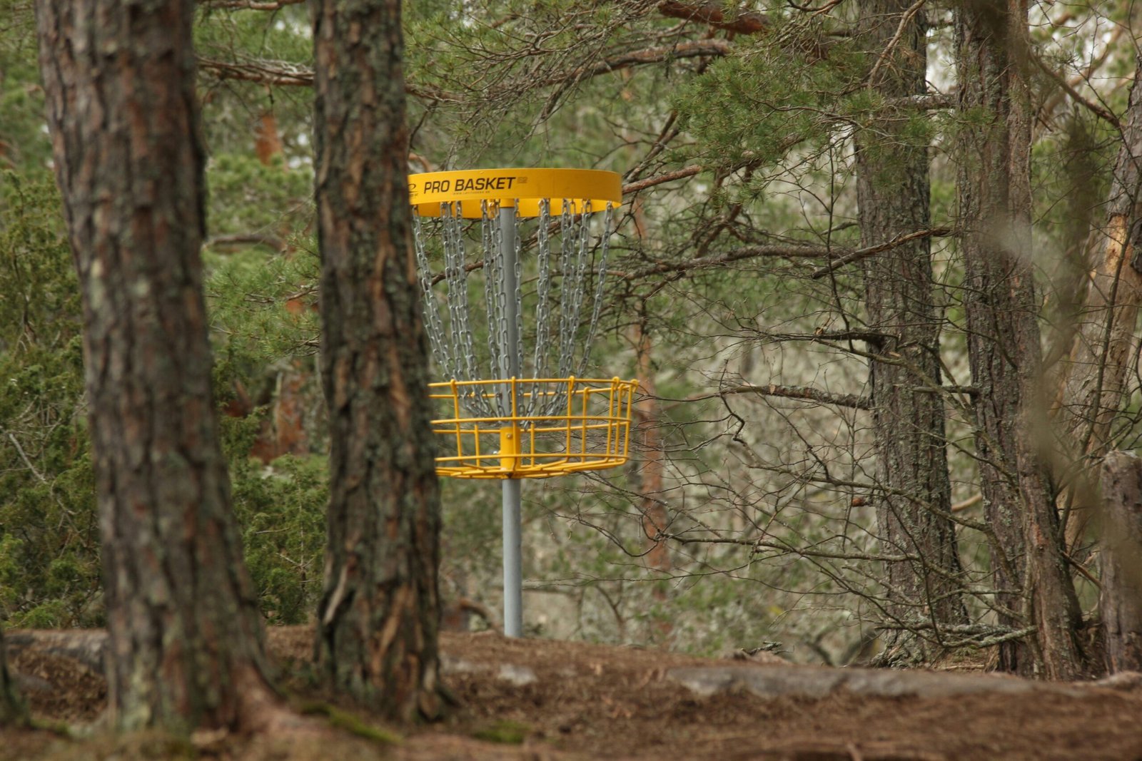 yellow and black metal signage near trees during daytime